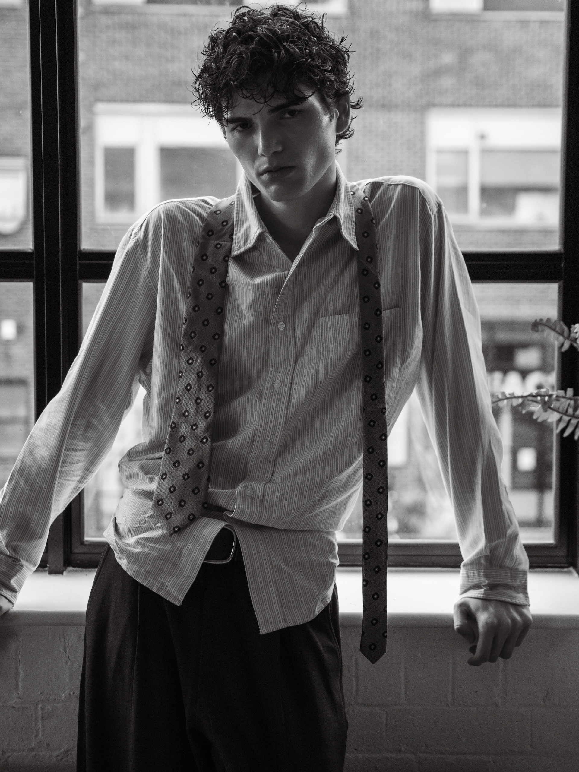 Albie Hoheb — frame 4