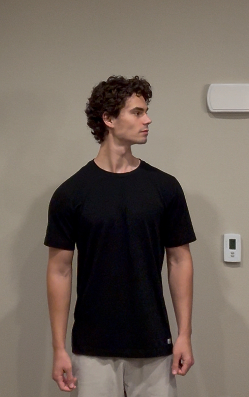 Antonio Zaldumbide — frame 2